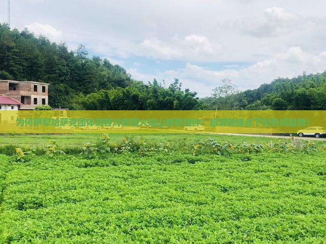 为何伊犁哈萨克团体游客对新疆火焰山情有独钟？旅游新痛点下的热词趋势！