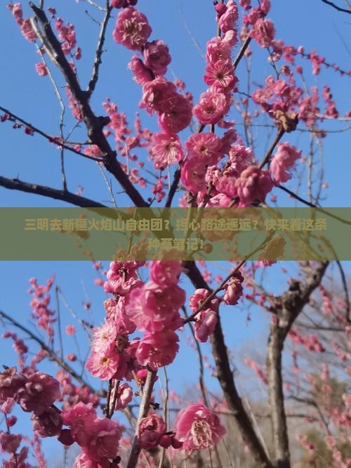 三明去新疆火焰山自由团？担心路途遥远？快来看这条种草笔记！