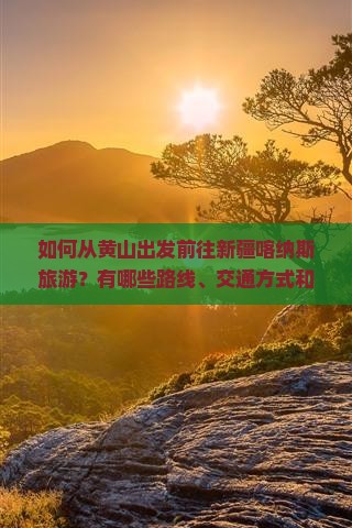 如何从黄山出发前往新疆喀纳斯旅游？有哪些路线、交通方式和行程规划建议？