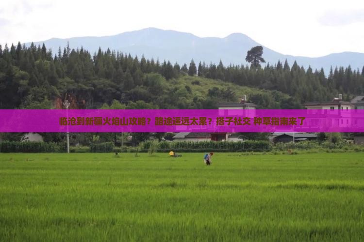 临沧到新疆火焰山攻略？路途遥远太累？搭子社交+种草指南来了
