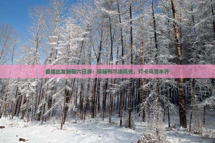娄底出发新疆六日游：探秘布尔津风光，打卡乌鲁木齐