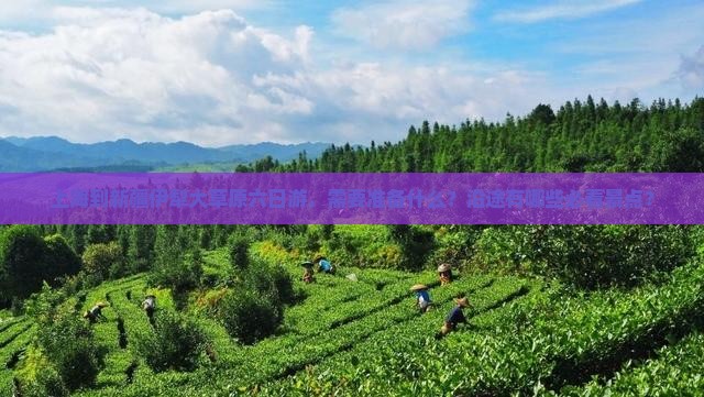 上海到新疆伊犁大草原六日游，需要准备什么？沿途有哪些必看景点？