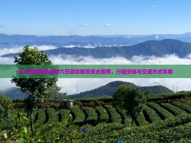 天水至新疆喀纳斯六日游攻略及景点推荐，行程安排与交通方式详解