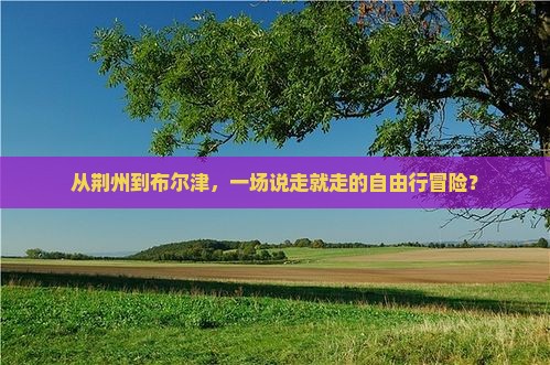 从荆州到布尔津，一场说走就走的自由行冒险？