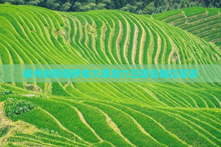 郴州到新疆伊犁大草原六日游含喀拉草原