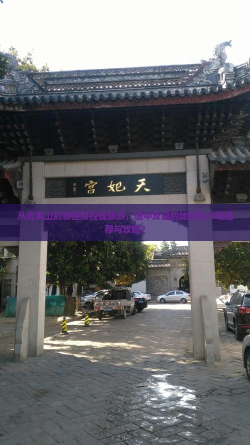 从武夷山到新疆那拉提旅游，途中及目的地特色小吃推荐与攻略？