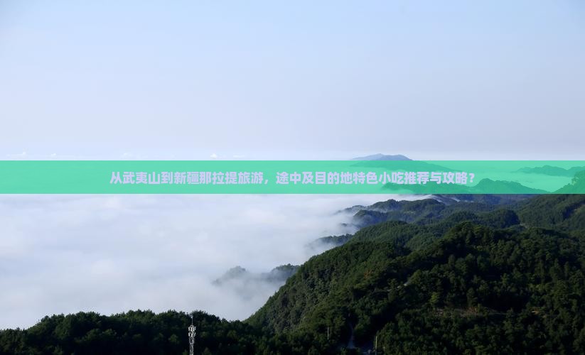从武夷山到新疆那拉提旅游，途中及目的地特色小吃推荐与攻略？