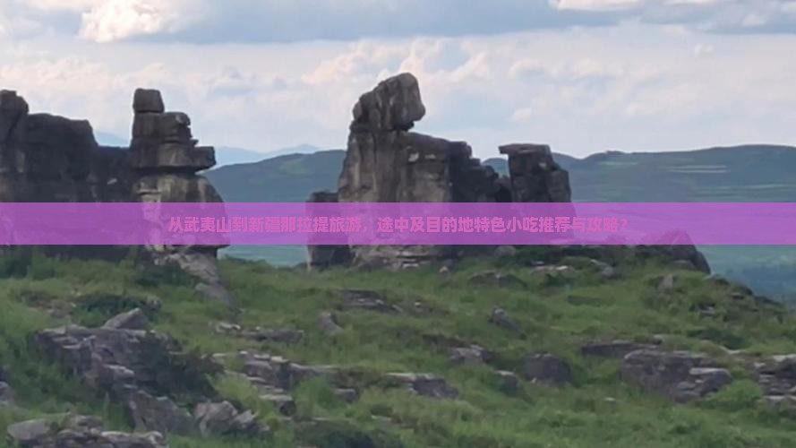 从武夷山到新疆那拉提旅游，途中及目的地特色小吃推荐与攻略？