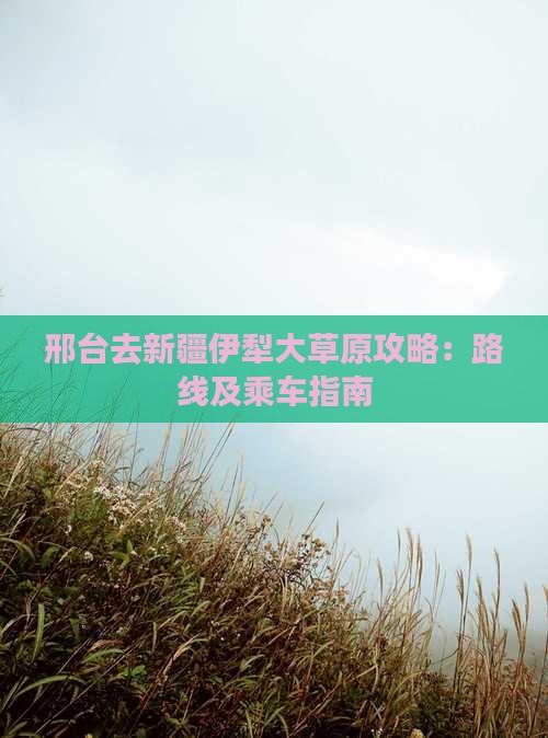 邢台去新疆伊犁大草原攻略:路线及乘车指南 邢台去新疆伊犁大草原攻略:路线及乘车指南