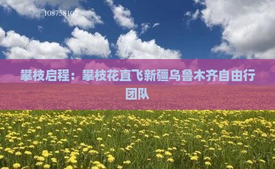 攀枝启程:攀枝花直飞新疆乌鲁木齐自由行团队 攀枝启程:攀枝花直飞新疆乌鲁木齐自由行团队