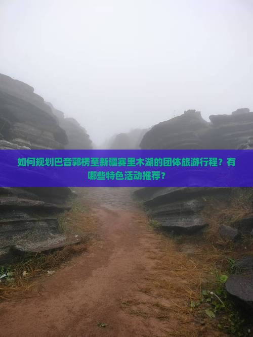 如何规划巴音郭楞至新疆赛里木湖的团体旅游行程？有哪些特色活动推荐？