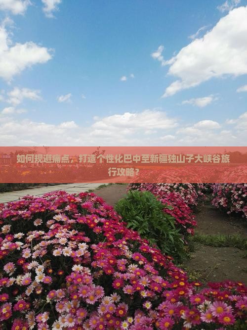 如何规避痛点，打造个性化巴中至新疆独山子大峡谷旅行攻略？