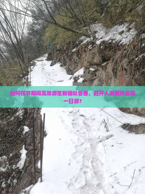 如何在节期间高效游览新疆吐鲁番，避开人潮拥挤实现一日游？