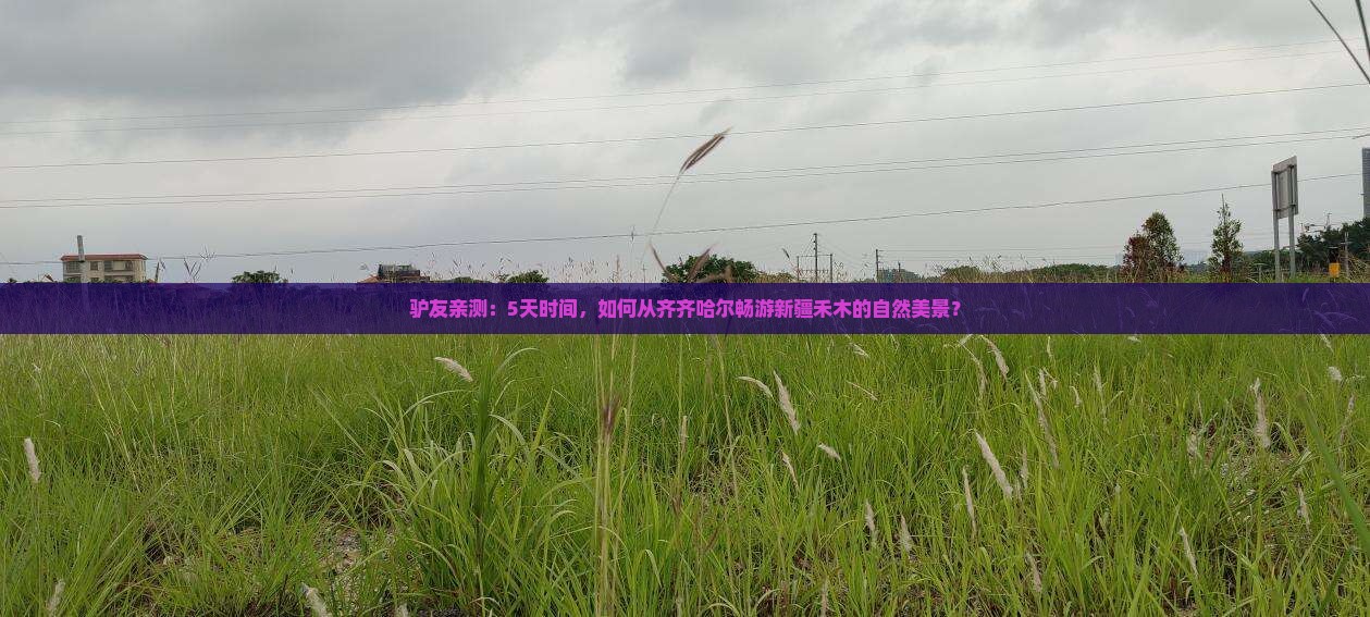 驴友亲测：5天时间，如何从齐齐哈尔畅游新疆禾木的自然美景？