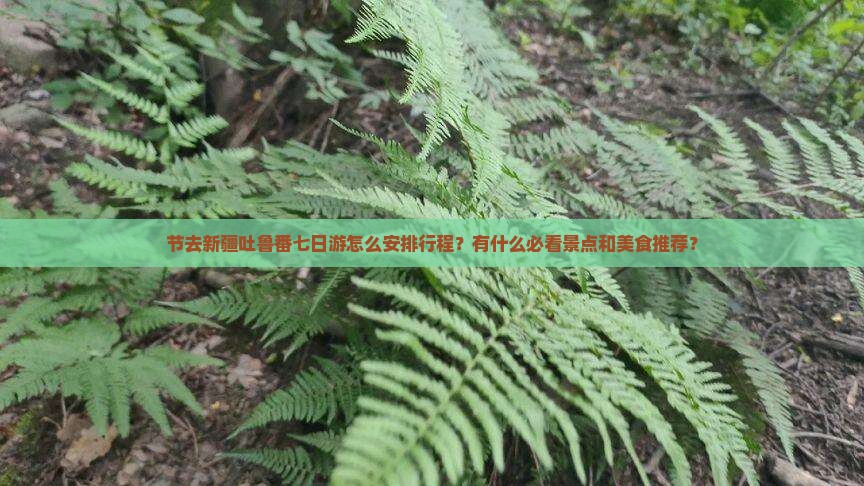 节去新疆吐鲁番七日游怎么安排行程？有什么必看景点和美食推荐？