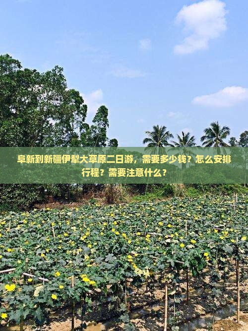 阜新到新疆伊犁大草原二日游，需要多少钱？怎么安排行程？需要注意什么？
