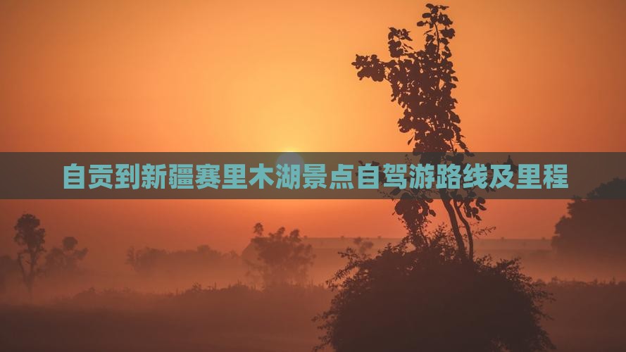 自贡到新疆赛里木湖景点自驾游路线及里程