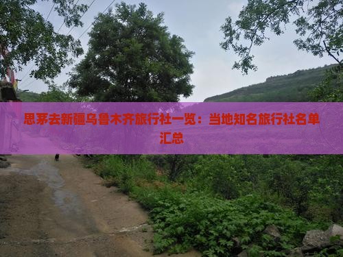 思茅去新疆乌鲁木齐旅行社一览：当地知名旅行社名单汇总