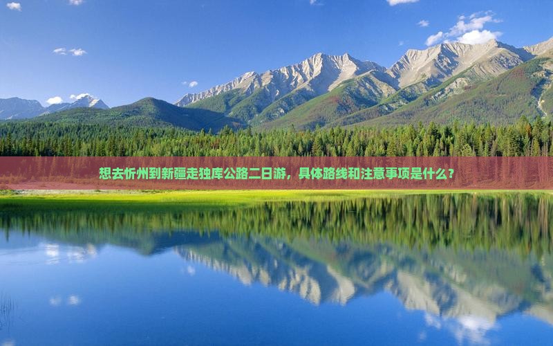 想去忻州到新疆走独库公路二日游，具体路线和注意事项是什么？