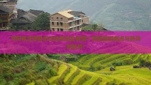 为何林芝游客纷纷选择远赴新疆？新疆旅游痛点与热词新趋势！
