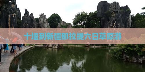 十堰到新疆那拉提六日草原游