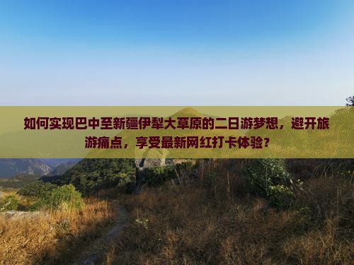 如何实现巴中至新疆伊犁大草原的二日游梦想，避开旅游痛点，享受最新网红打卡体验？