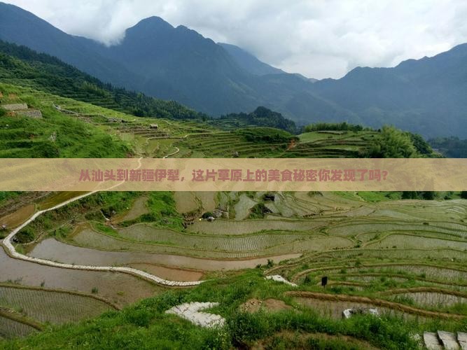 从汕头到新疆伊犁，这片草原上的美食秘密你发现了吗？