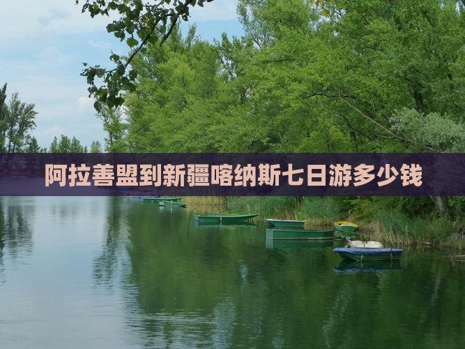 阿拉善盟到新疆喀纳斯七日游多少钱