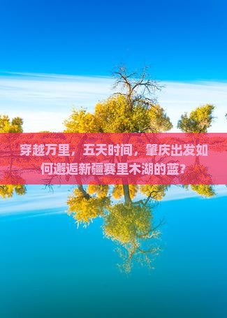 穿越万里，五天时间，肇庆出发如何邂逅新疆赛里木湖的蓝？
