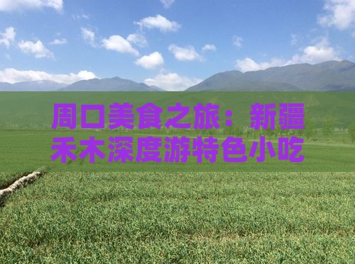 周口美食之旅：新疆禾木深度游特色小吃攻略