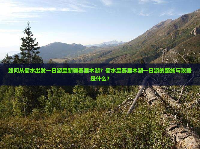 如何从衡水出发一日游至新疆赛里木湖？衡水至赛里木湖一日游的路线与攻略是什么？