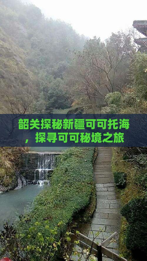 韶关探秘新疆可可托海，探寻可可秘境之旅
