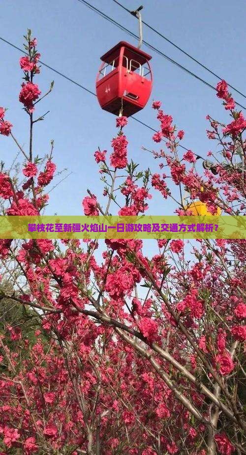 攀枝花至新疆火焰山一日游攻略及交通方式解析？