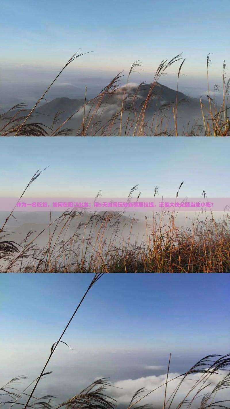 作为一名吃货，如何在阳江出发，用5天时间玩转新疆那拉提，还能大快朵颐当地小吃？