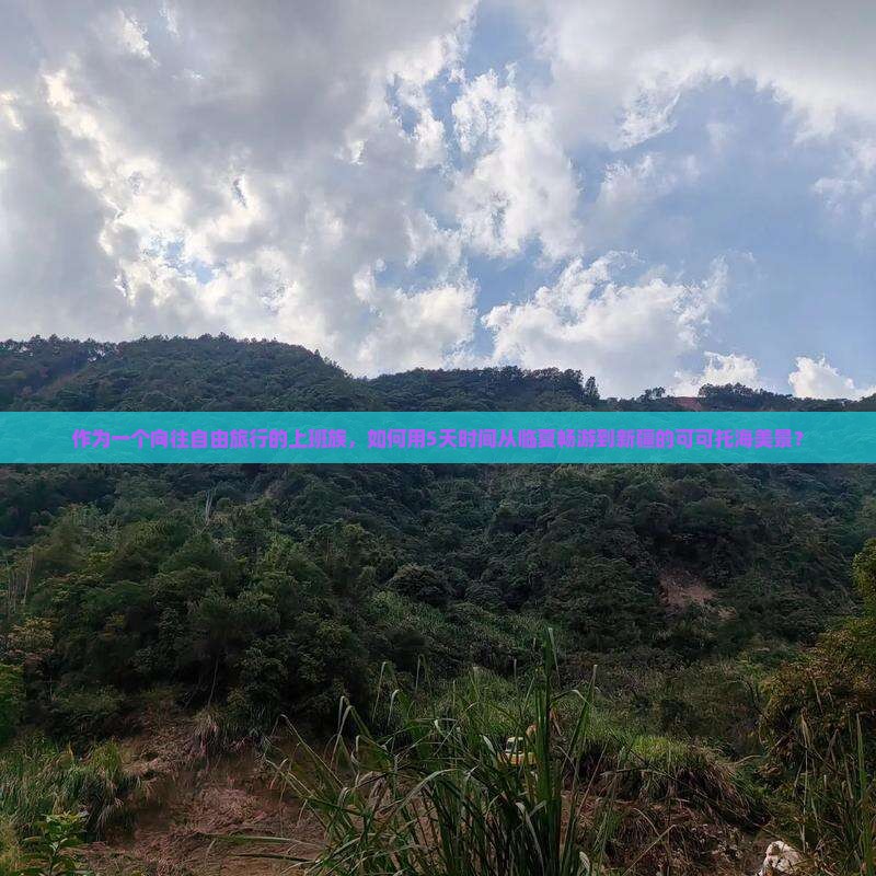 作为一个向往自由旅行的上班族，如何用5天时间从临夏畅游到新疆的可可托海美景？