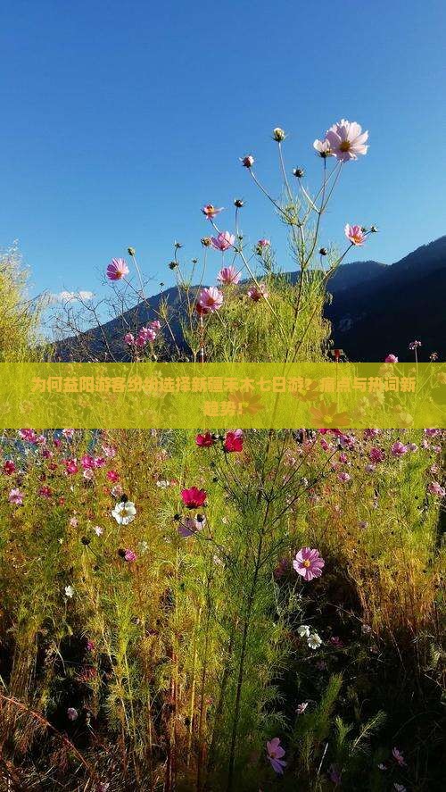 为何益阳游客纷纷选择新疆禾木七日游？痛点与热词新趋势！