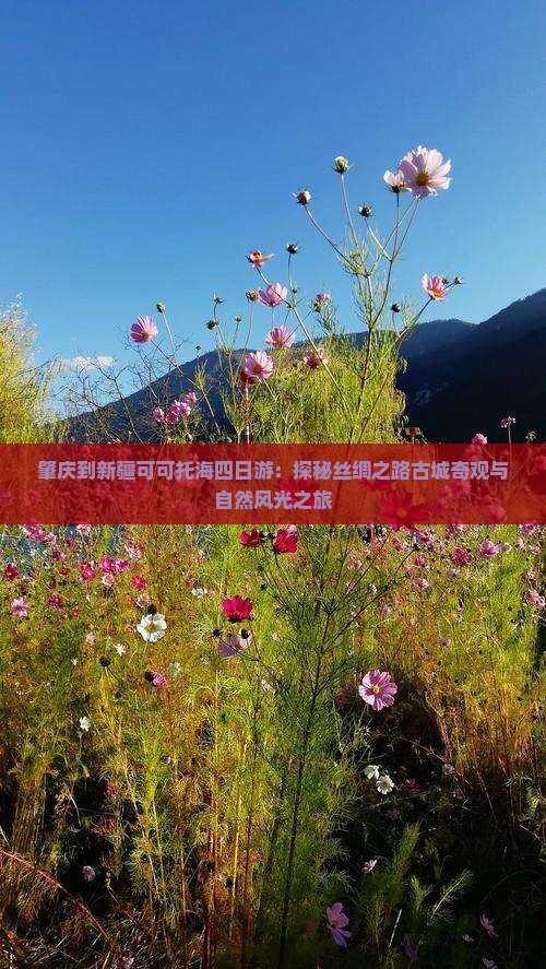 肇庆到新疆可可托海四日游：探秘丝绸之路古城奇观与自然风光之旅