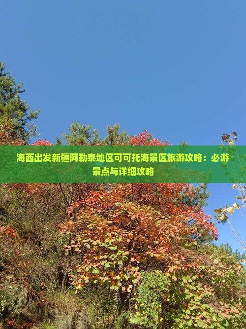 海西出发新疆阿勒泰地区可可托海景区旅游攻略：必游景点与详细攻略