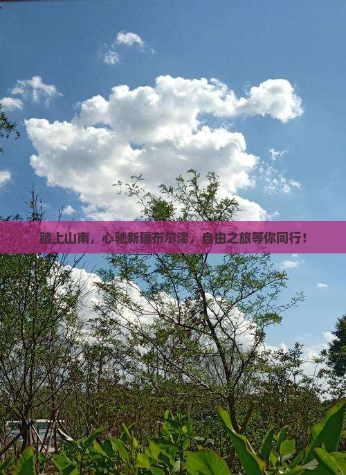 踏上山南，心驰新疆布尔津，自由之旅等你同行！