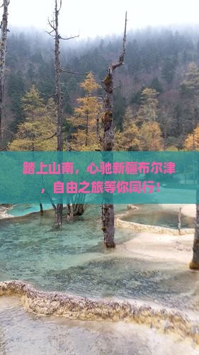 踏上山南，心驰新疆布尔津，自由之旅等你同行！