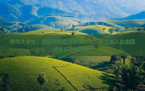 作为大学生，清明节独自游新疆禾木，怎么加入自由团才末玩不留遗憾？