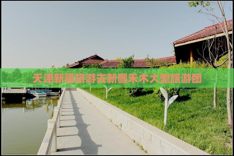 天津新疆旅游去新疆禾木大型旅游团