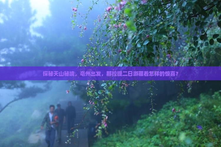 探秘天山秘境，亳州出发，那拉提二日游藏着怎样的惊喜？