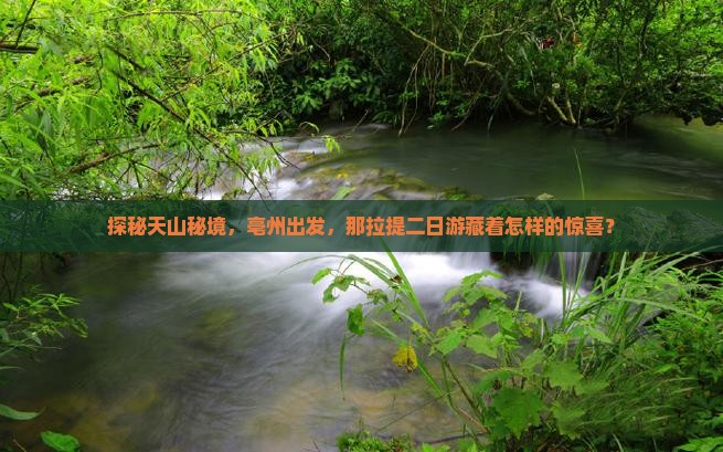 探秘天山秘境，亳州出发，那拉提二日游藏着怎样的惊喜？