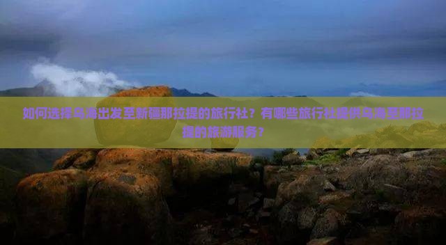 如何选择乌海出发至新疆那拉提的旅行社？有哪些旅行社提供乌海至那拉提的旅游服务？