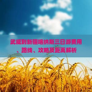 武威到新疆喀纳斯三日游费用、路线、攻略及距离解析