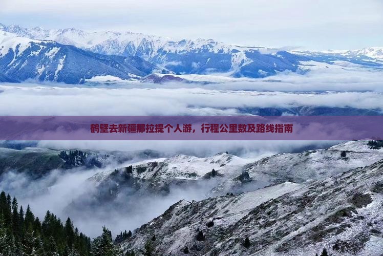 鹤壁去新疆那拉提个人游，行程公里数及路线指南