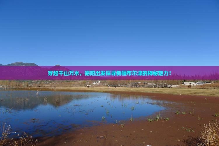 穿越千山万水，德阳出发探寻新疆布尔津的神秘魅力！