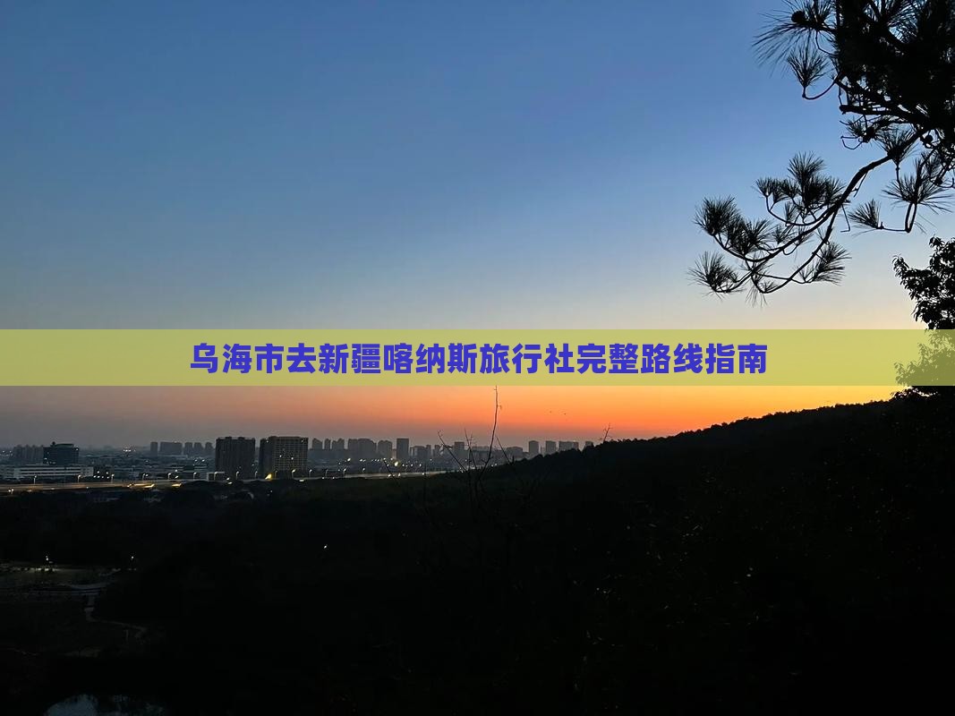 乌海市去新疆喀纳斯旅行社完整路线指南