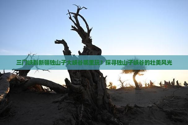 三门峡到新疆独山子大峡谷哪里玩？探寻独山子峡谷的壮美风光